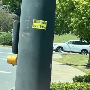 Meet your Posher, Abbie